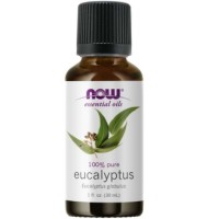 EUCALYPTUS OIL  1 OZ NOW Foods